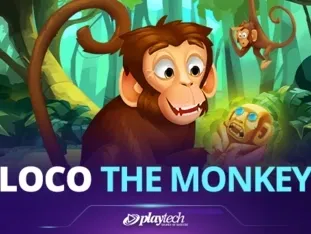 Loco The Monkey game cover