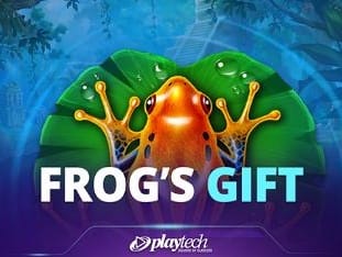 Frogs Gift game cover